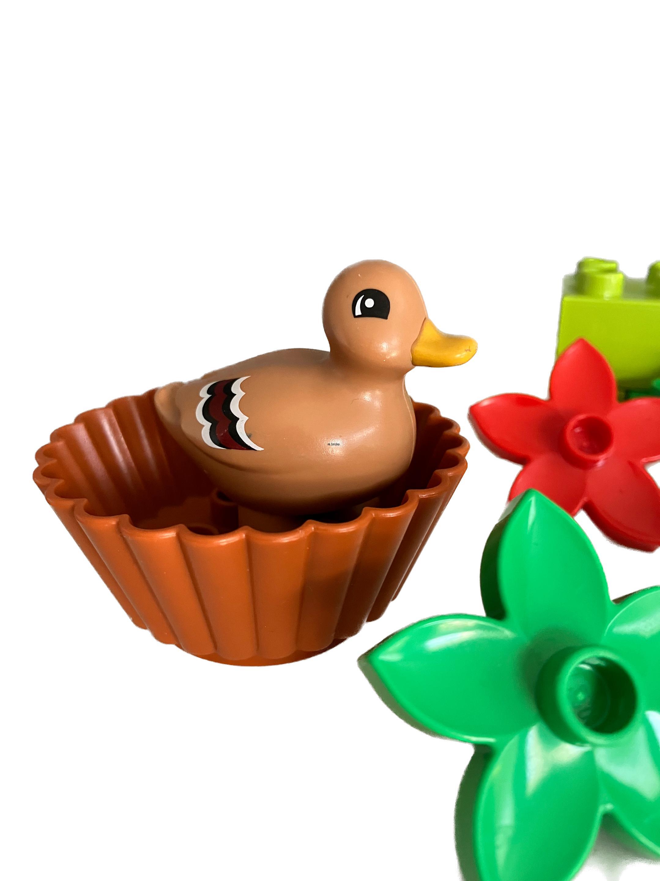 Lego Duplo 10581 Divoké kachny